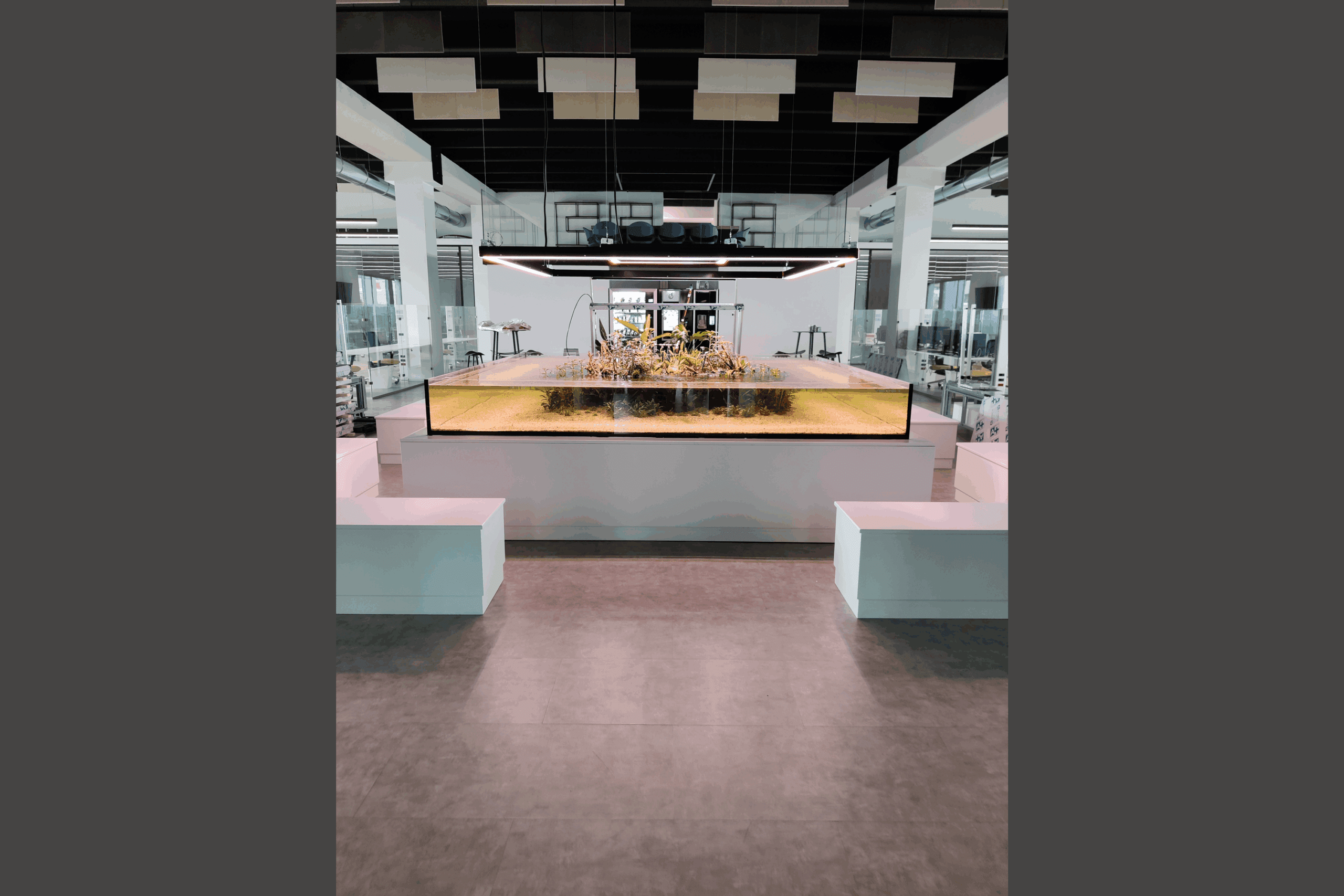 studio-3s-edm-progetto-2-gallery-bordi
